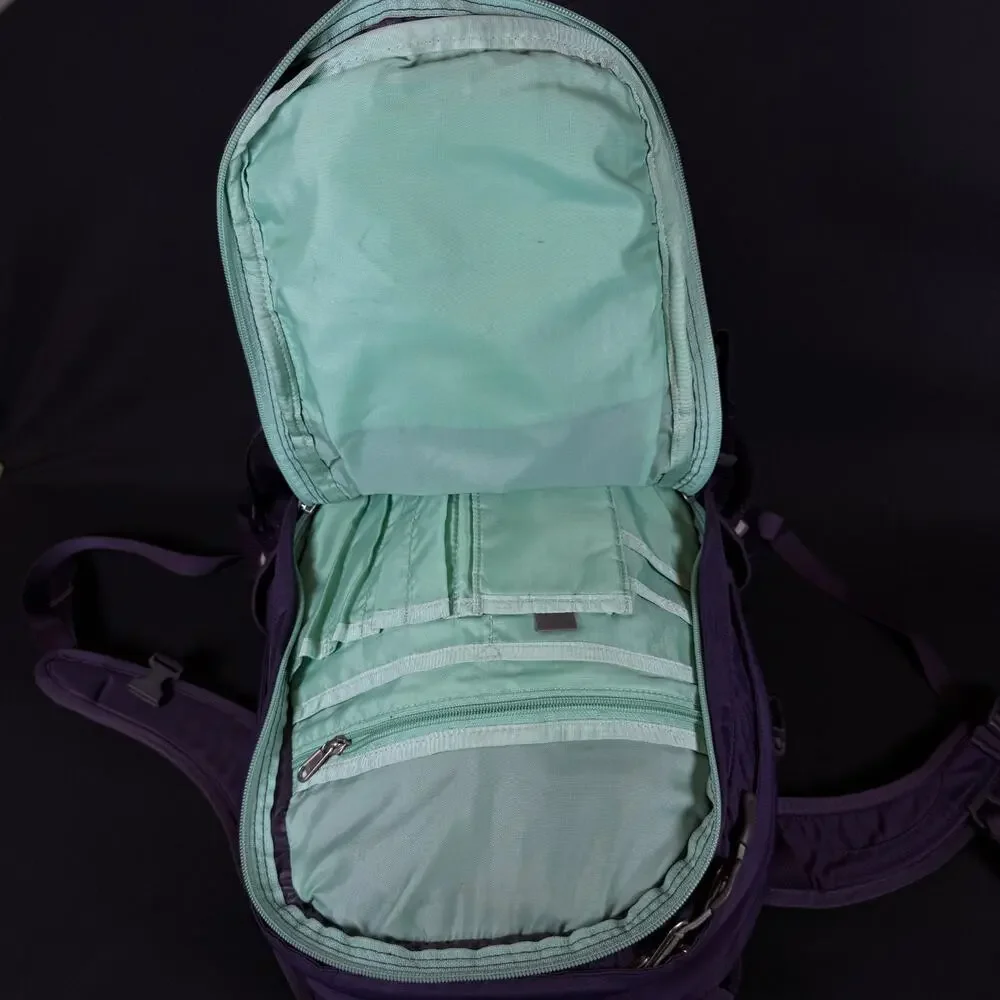 The North Face Borealis School Laptop Backpack Purple & Teal